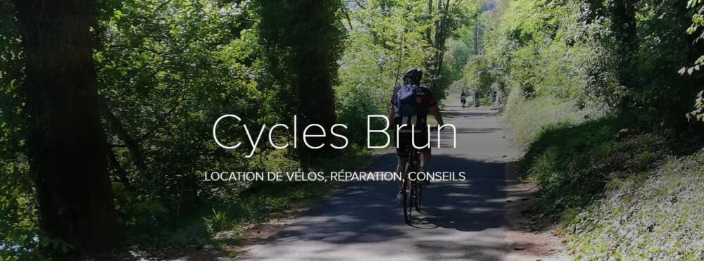 03 en tete cycle brun