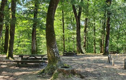 Aire de pique nique du sentier des dollines