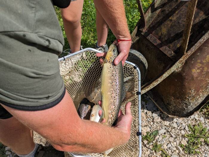 Pisciculture Bouhelier Aout 2023 Credit OT DOUBS BAUMOIS 20