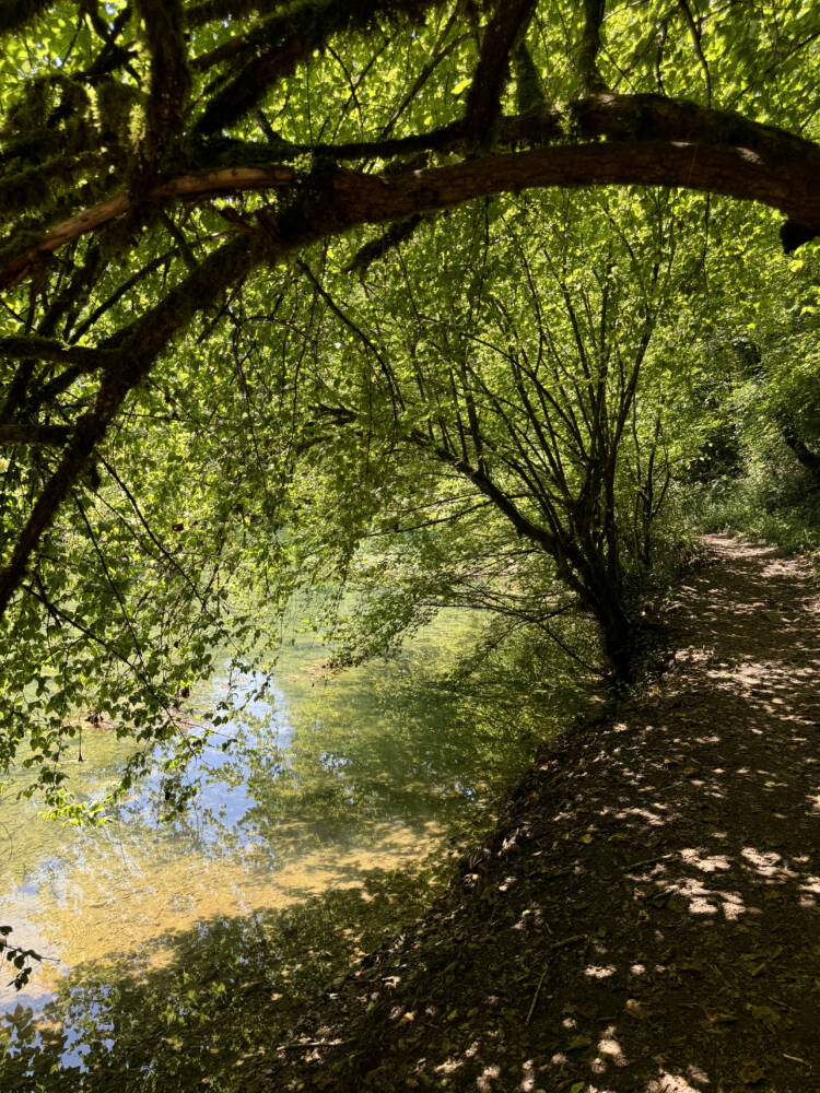 Vallee du Cusancin Credit Alexia Maitrehenry 1