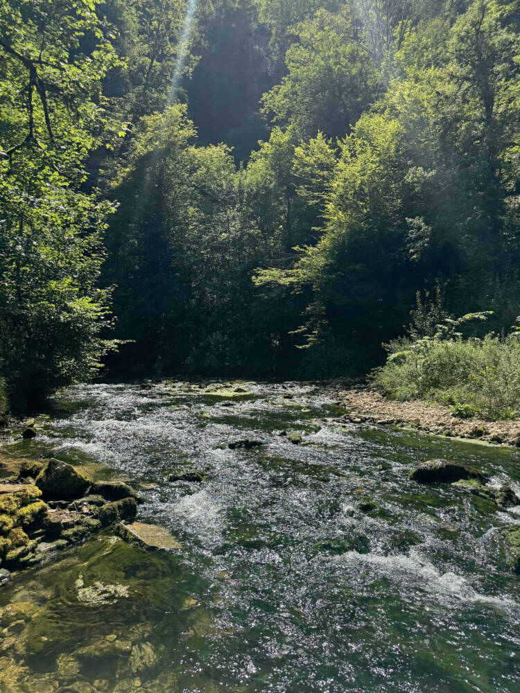 Vallée du Cusancin - Crédit Alexia Maitrehenry  (14)