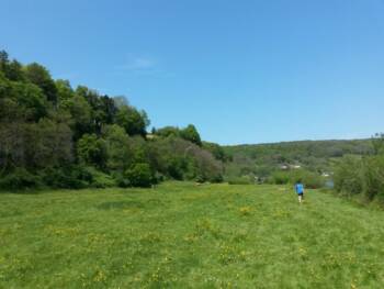 Sous-Buen pré le long du Doubs