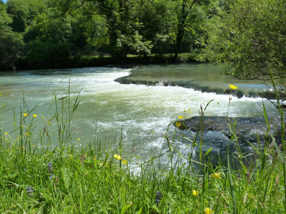 Vallée du Cusancin