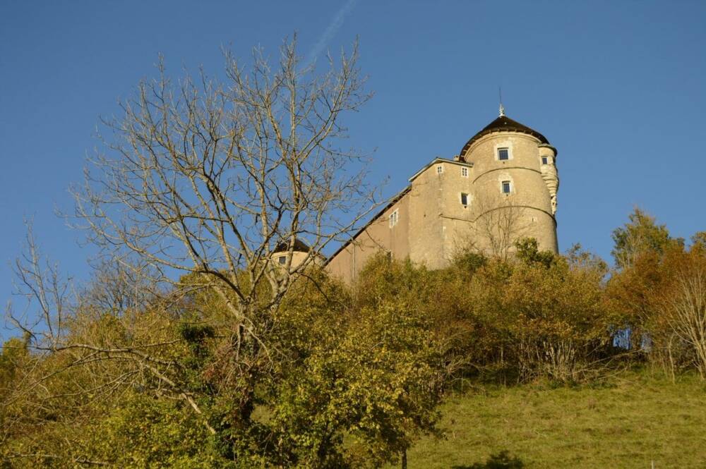 Château_Belvoir