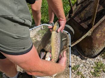 Pisciculture Bouhelier - Août 2023 - Crédit OT DOUBS BAUMOIS (20)