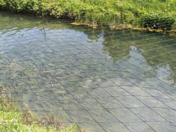 Pisciculture Bouhelier - Août 2023 - Crédit OT DOUBS BAUMOIS (21)