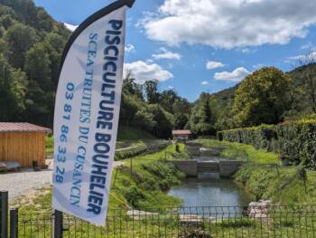 Pisciculture Bouhelier - Août 2023 - Crédit OT DOUBS BAUMOIS (3)